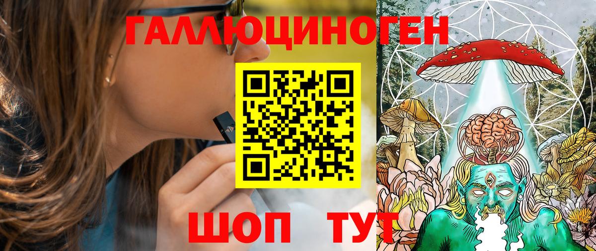 Псилоцибиновые грибы Psilocybe Ипатово